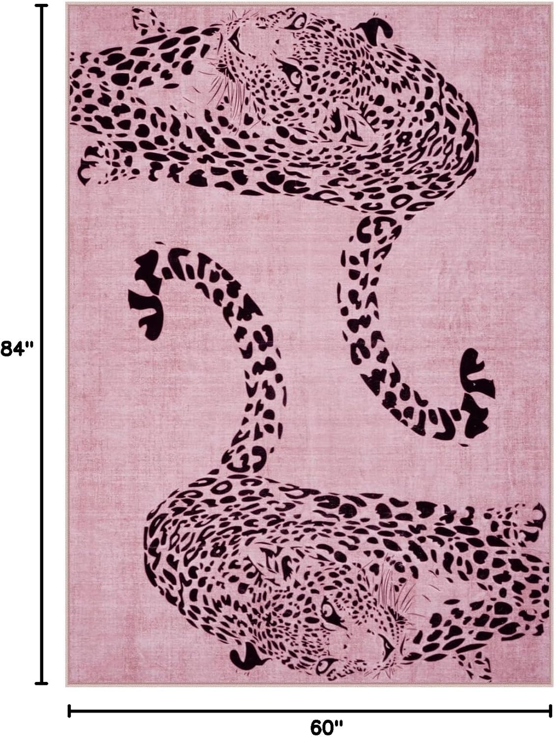 OJIA Leopard Print 5x7 Area Rugs for Living Room, Soft Carpet Washable Rugs