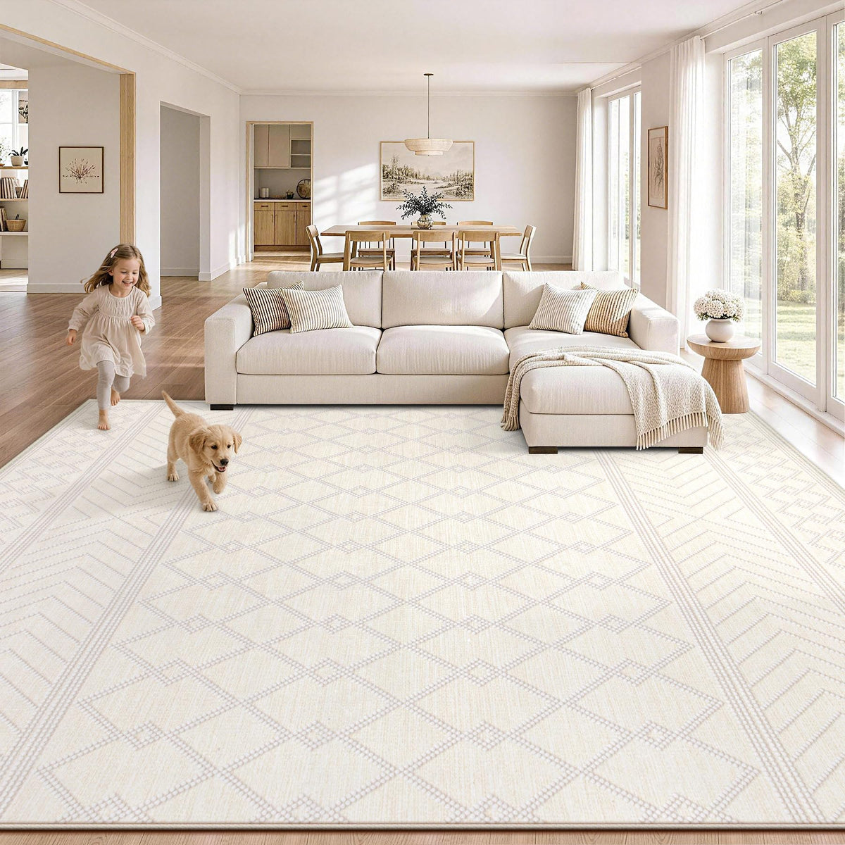 pmtsns Area Rugs 8x10 Washable Rug for Living Room(Beige, 8'x10')