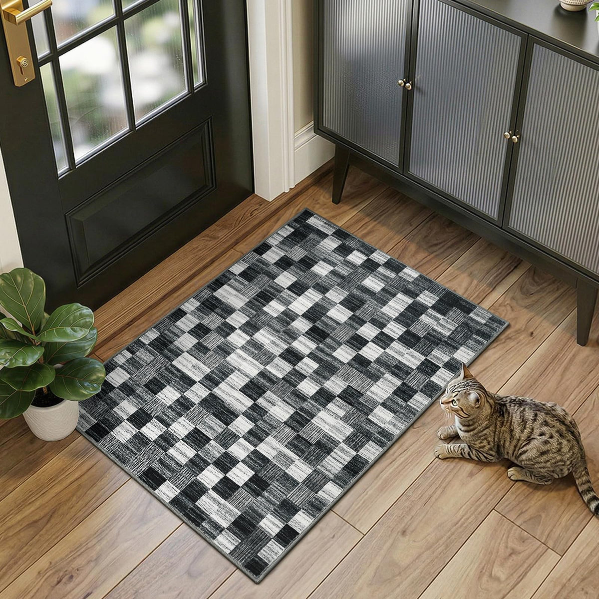Terrug Multicolored Geometric Checkered Rug for Living Room, 5x7 Area Rugs