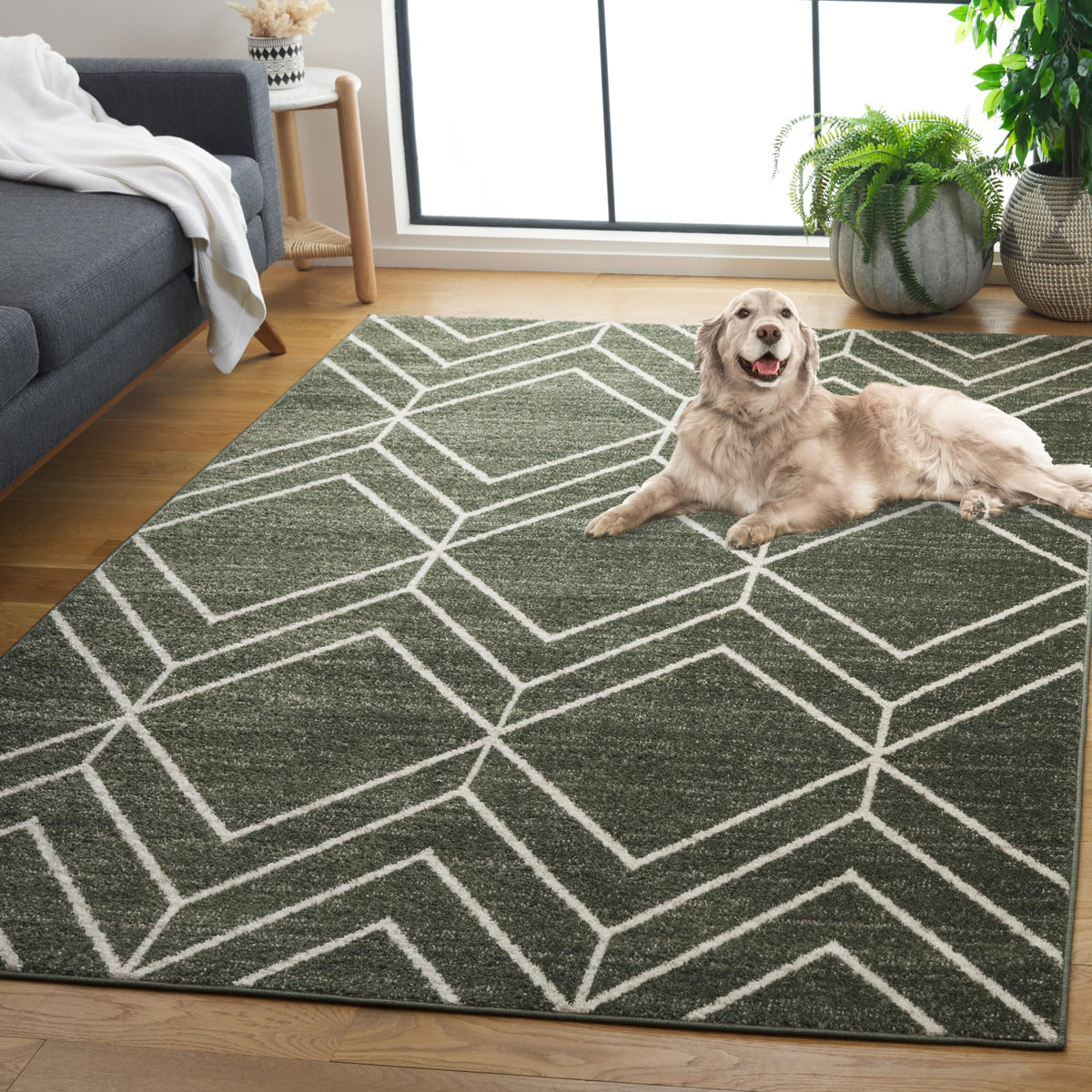 SAFAVIEH Adirondack Area Rug 8'x10', Modern Sage & Ivory ADR241Y